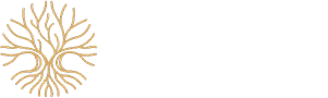 Vieira Costa Investimento e Pratrimnio CRECI/SC 8865-J